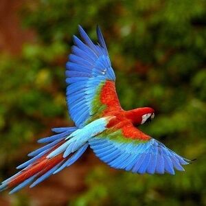 KiAna Serrano-Carnes